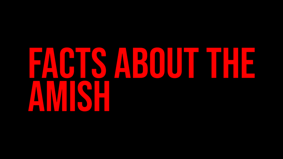 Facts About The Amish