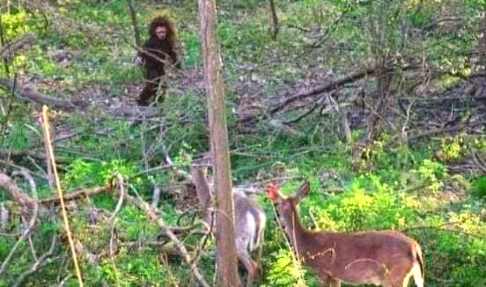 Bizarre Baby Bigfoot